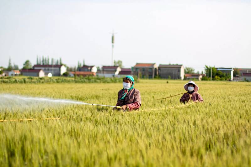 Thế giới - 'Xu hướng khó đảo ngược' thách thức nền nông nghiệp