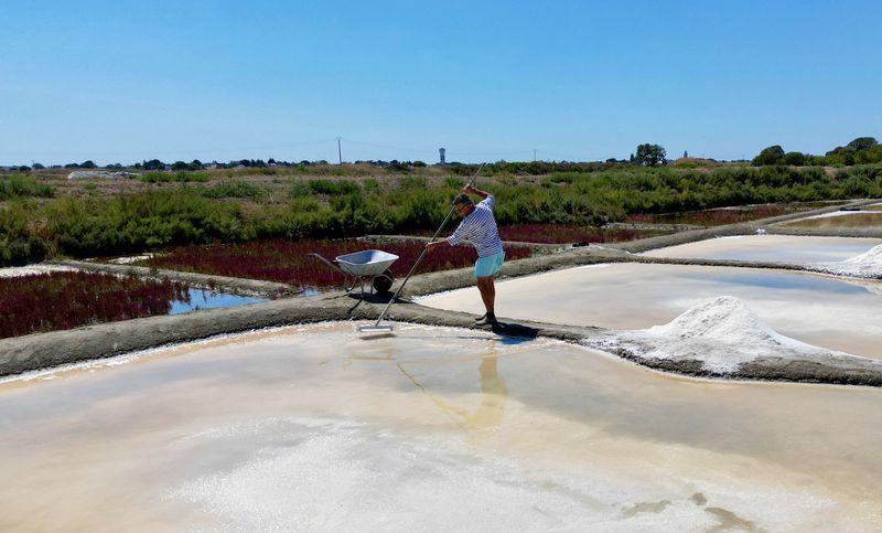 Thế giới - Những người hưởng lợi “bất đắc dĩ” trong khủng hoảng khí hậu ở Pháp