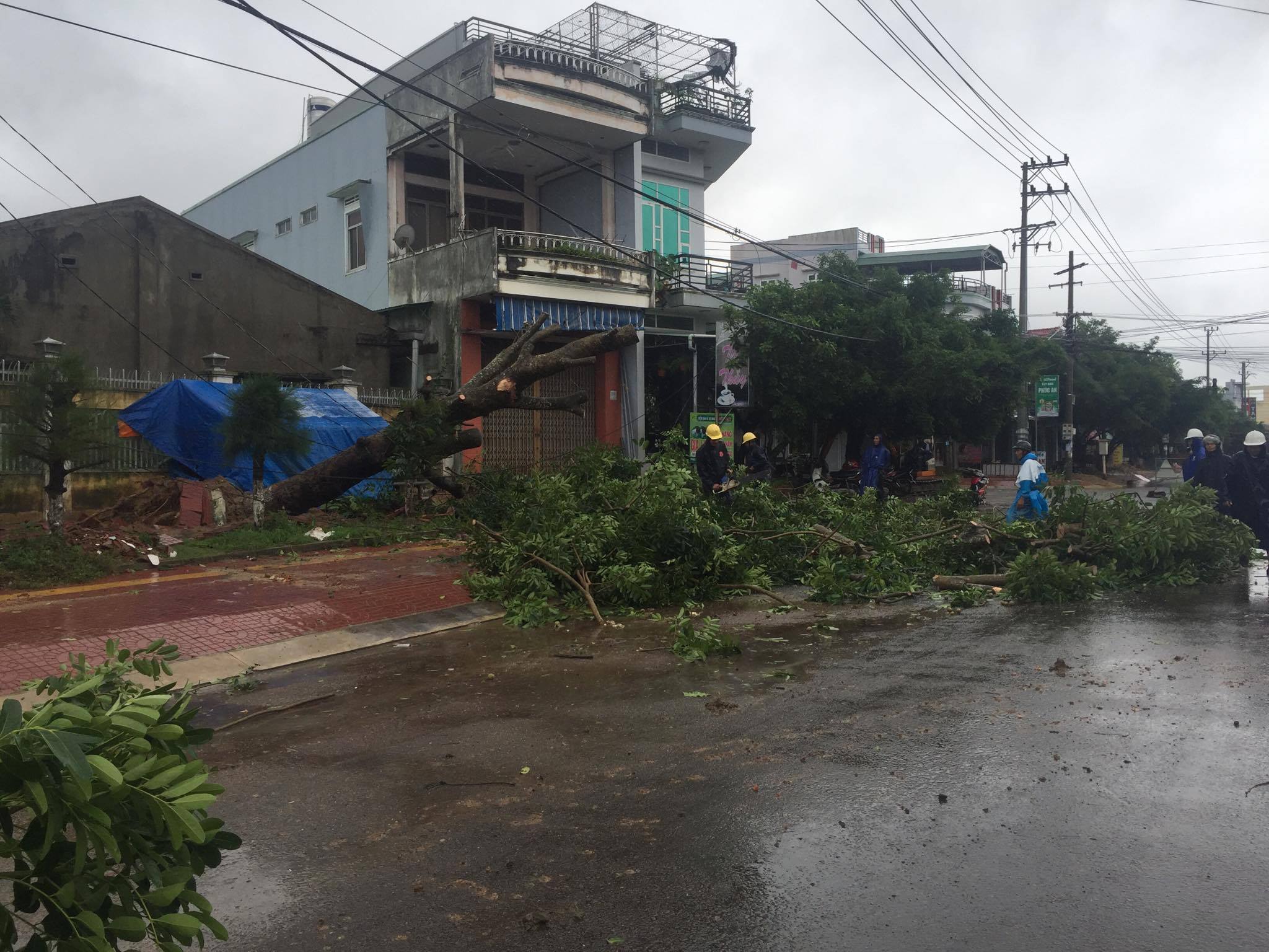 Tin nhanh - Bão số 12 đến khu vực Tây Nguyên: Cây đổ, nhà dân tốc mái (Hình 5).