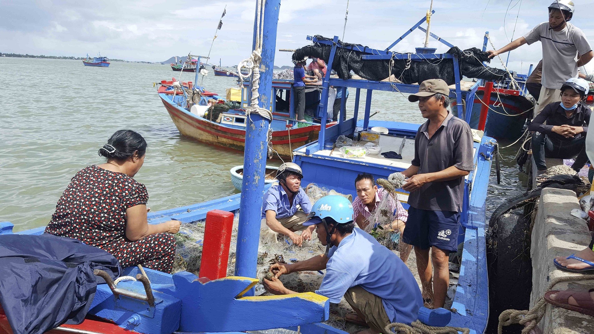 Tiêu dùng & Dư luận - Khánh Hòa sau bão 12: Ngư dân “trúng đậm”, chủ lồng bè trắng tay