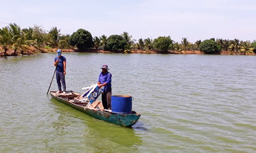 Long An: Ra lệnh phạt để ngăn dân tự ý phá đất lúa nuôi cá tra (Hình 2).