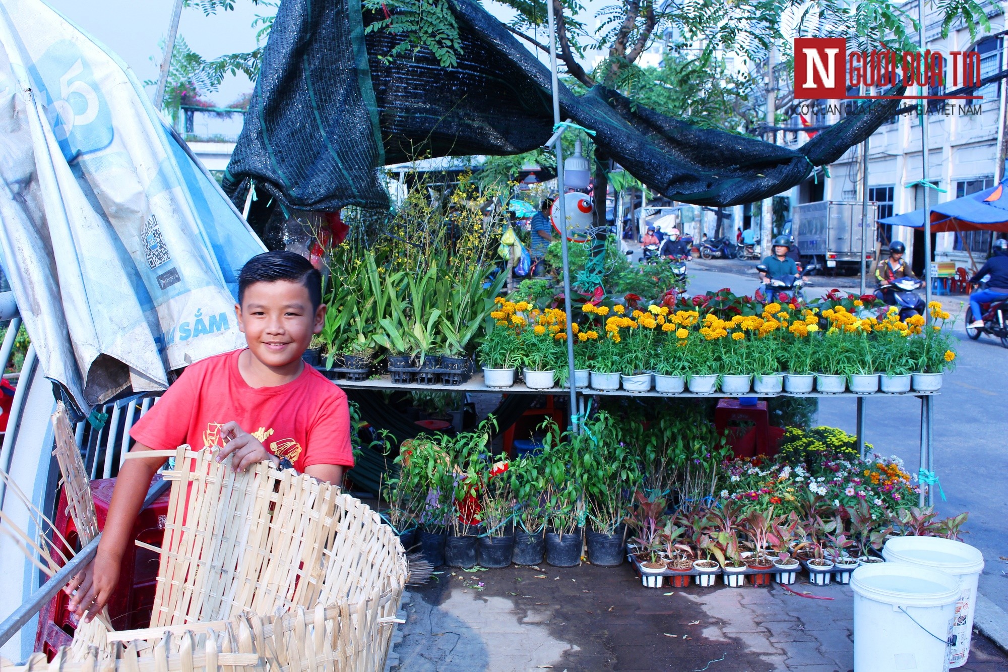 Dân sinh - Kiếp thương hồ 'chở' xuân về phố (Hình 6).