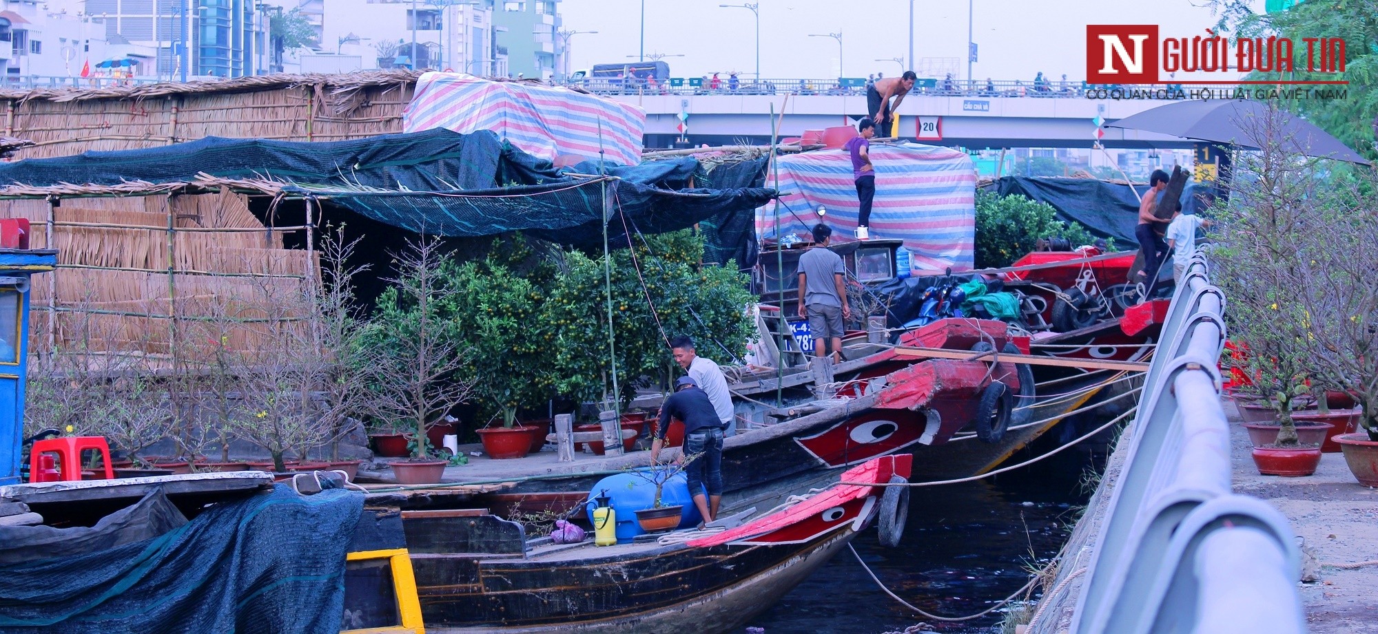 Dân sinh - Kiếp thương hồ 'chở' xuân về phố