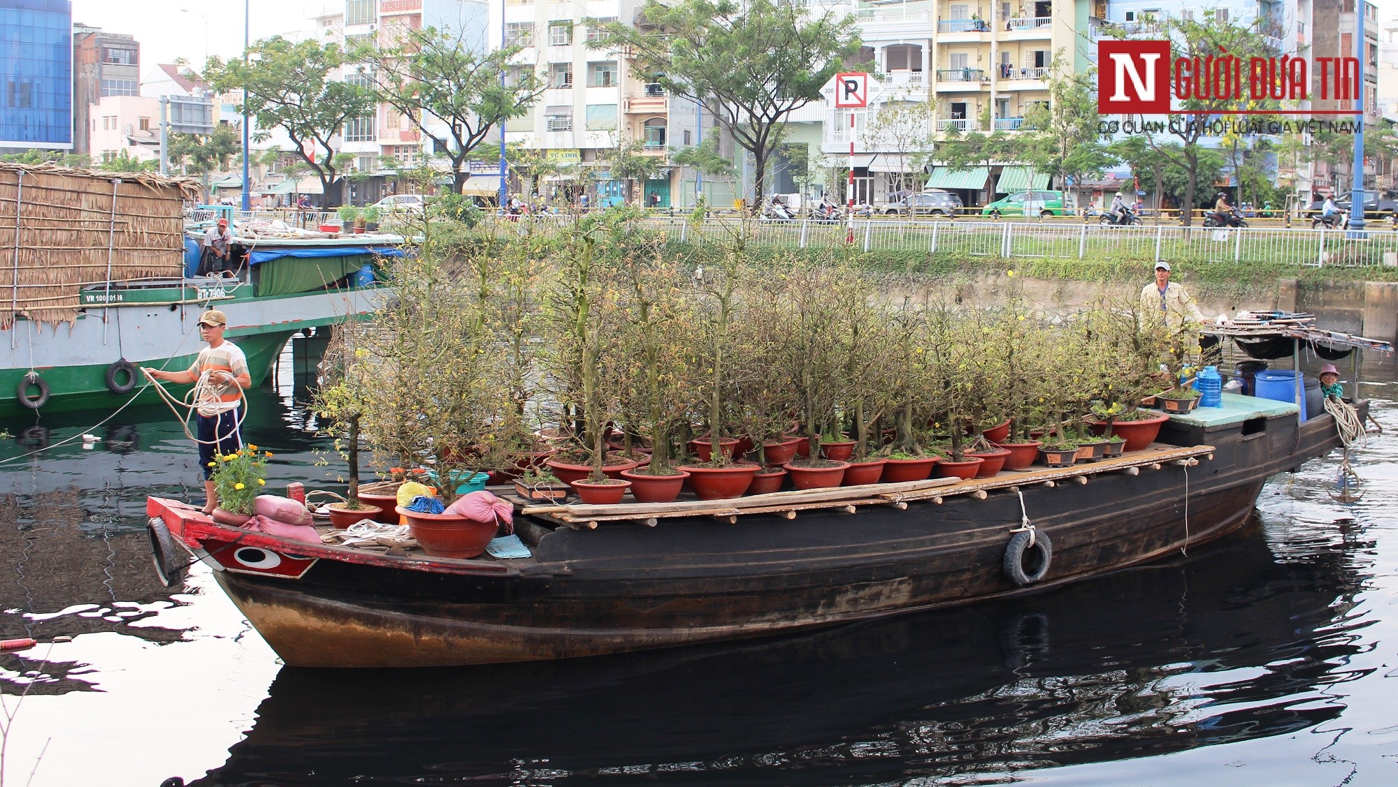 Dân sinh - Kiếp thương hồ 'chở' xuân về phố (Hình 2).