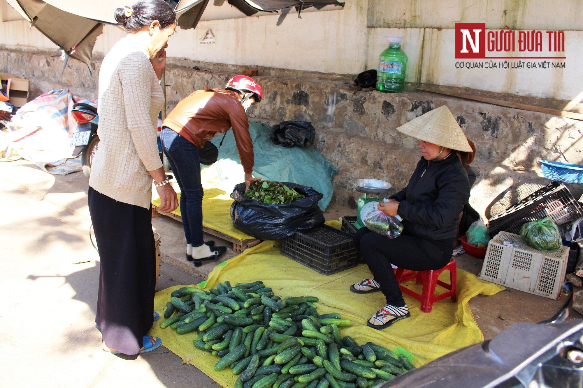 Văn hoá - Sắc màu Tết cổ truyền trên cao nguyên Di Linh (Hình 4).