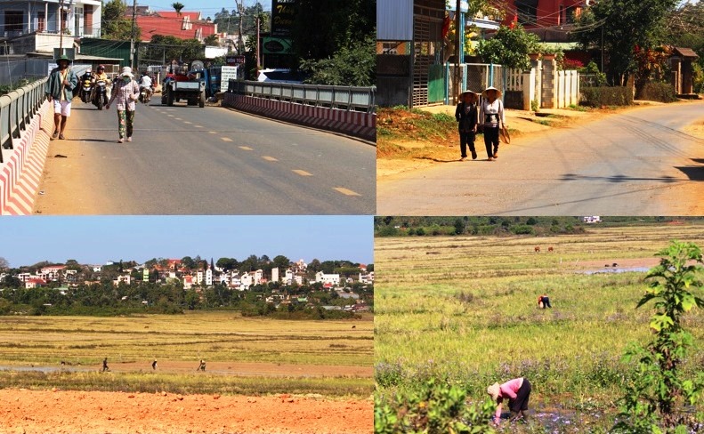 Văn hoá - Sắc màu Tết cổ truyền trên cao nguyên Di Linh (Hình 10).