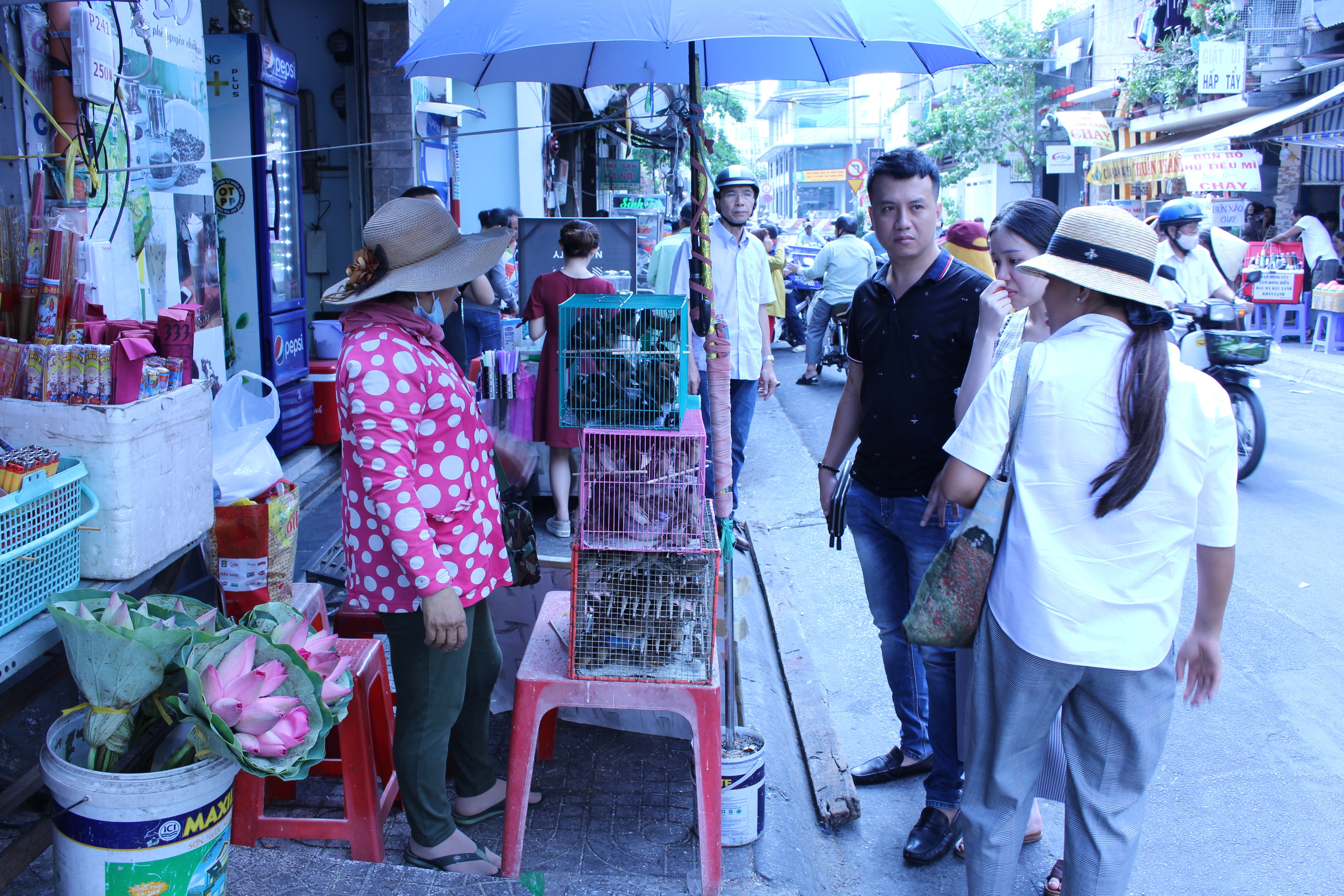 Tin nhanh - Rằm tháng Giêng, chim được phóng sinh bị cắt trụi lông, mệt mỏi không thèm bay (Hình 3).