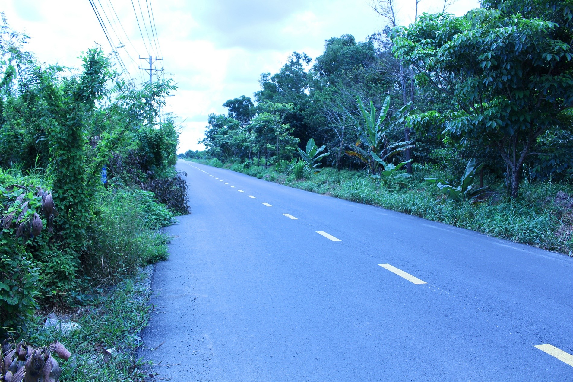 Hồ sơ điều tra - Cận cảnh hiện trường ph&aacute;t hiện thi thể người đ&agrave;n &ocirc;ng nghi bị s&aacute;t hại dưới mương nước