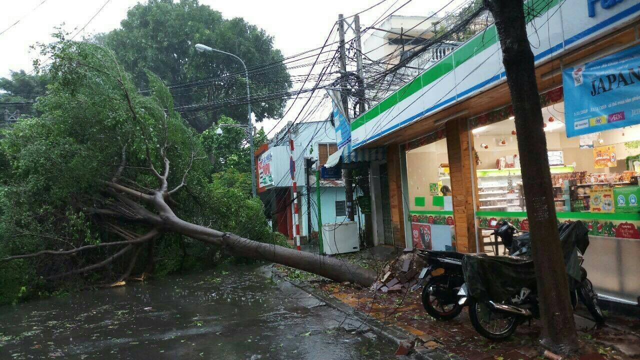 Tin nhanh - Bão số 9 vào Bà Rịa - Vũng Tàu: May mắn chưa có thiệt hại về người (Hình 10).