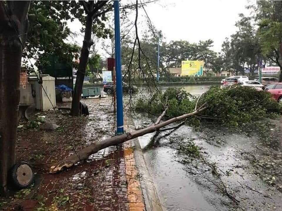 Tin nhanh - Bão số 9 vào Bà Rịa - Vũng Tàu: May mắn chưa có thiệt hại về người (Hình 11).