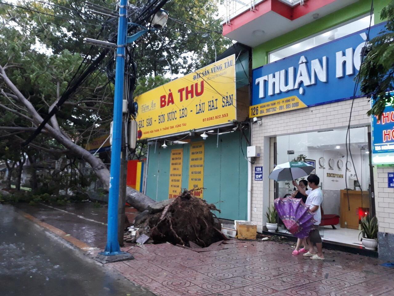 Tin nhanh - Bão số 9 vào Bà Rịa - Vũng Tàu: May mắn chưa có thiệt hại về người (Hình 8).