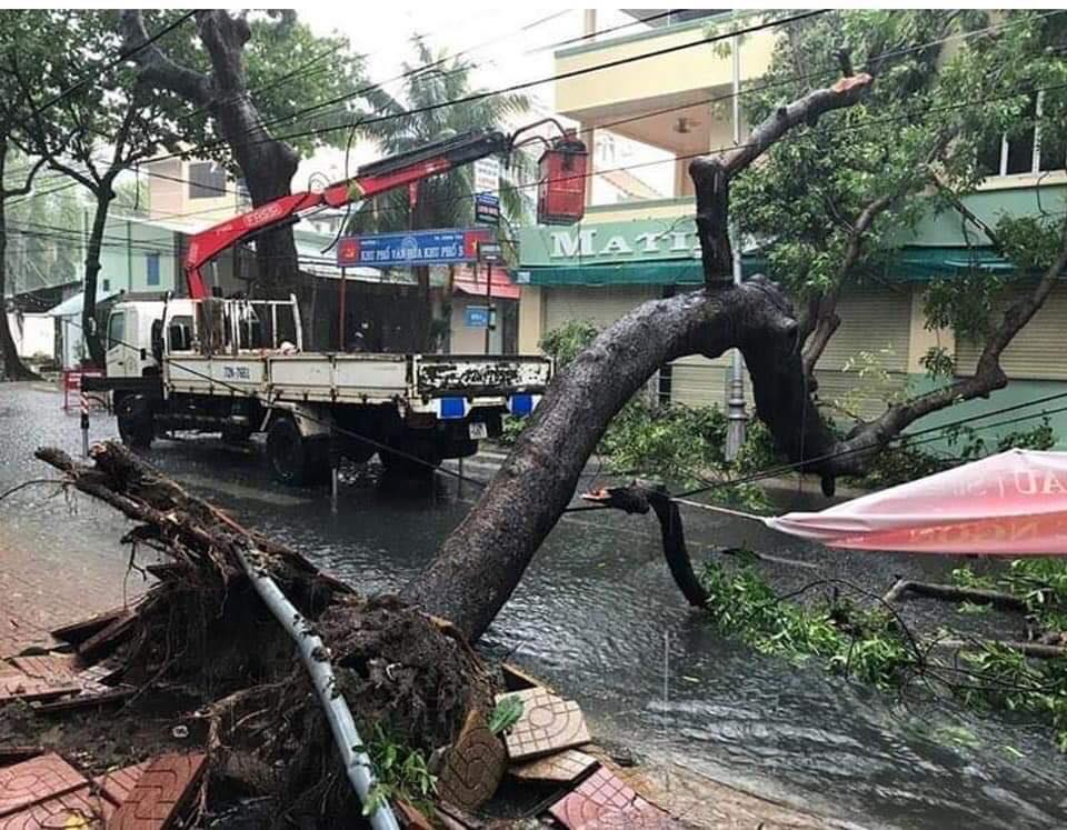 Tin nhanh - Bão số 9 vào Bà Rịa - Vũng Tàu: May mắn chưa có thiệt hại về người (Hình 6).