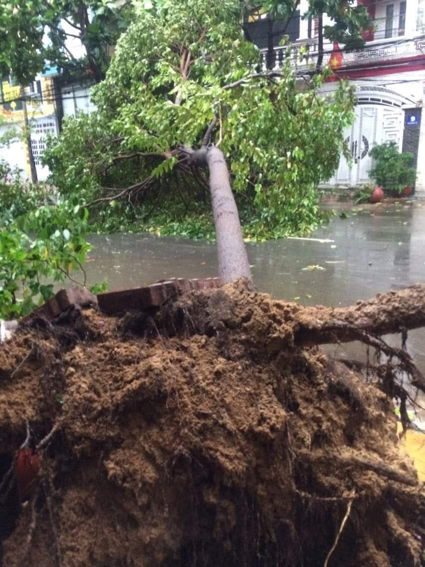 Tin nhanh - Bão số 9 vào Bà Rịa - Vũng Tàu: May mắn chưa có thiệt hại về người