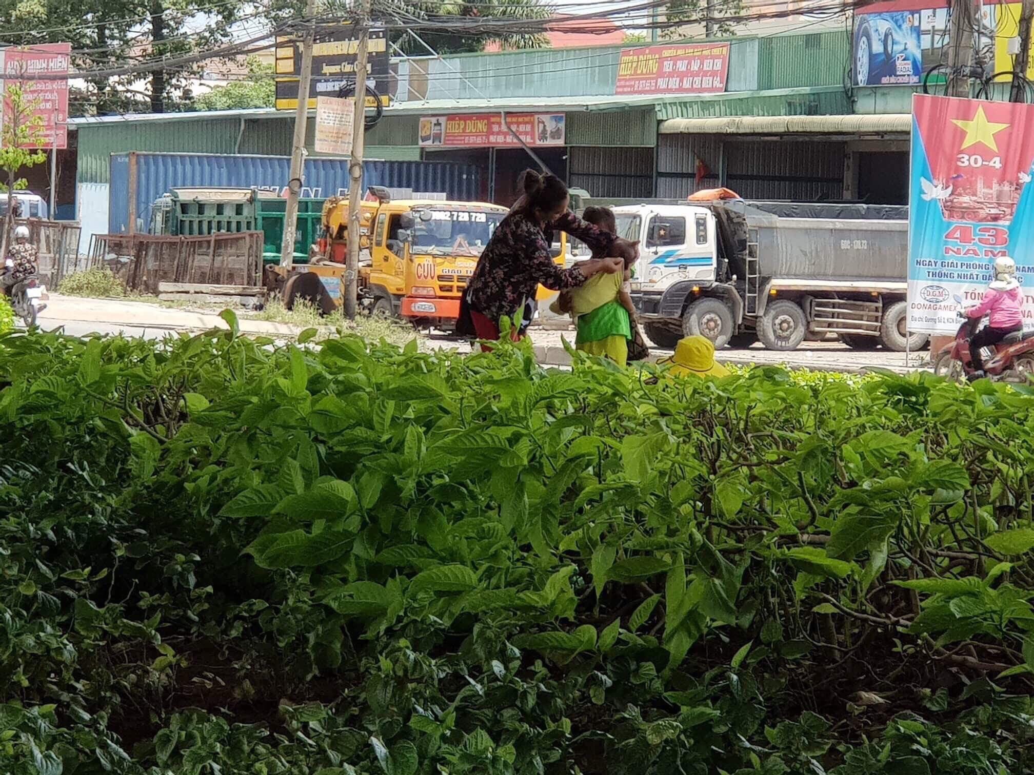 Dân sinh - 'Tập đoàn cái bang' bao vây người đi đường (Hình 5).