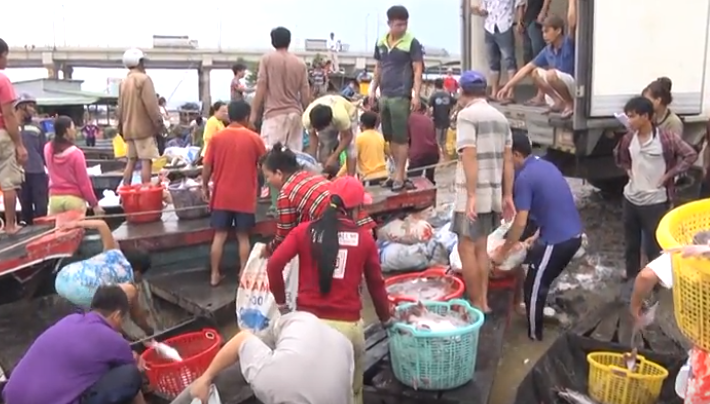 Tin nhanh - Vụ chết gần 2000 tấn cá: Dân làng bè La Ngà nhận tiền hỗ trợ