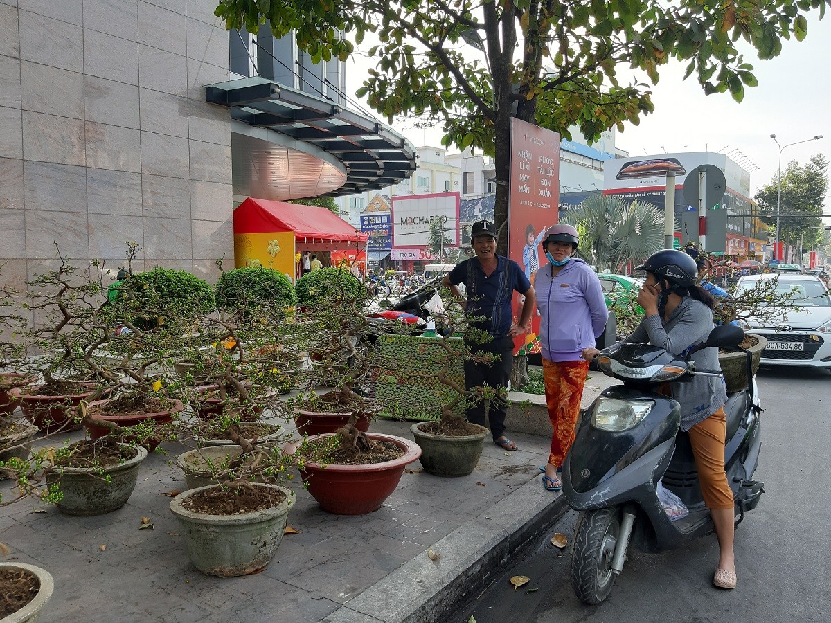 Tin nhanh - Đồng Nai: Chiêm ngưỡng chậu lan giá hơn trăm triệu (Hình 2).