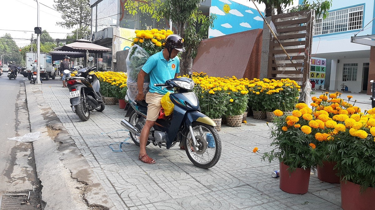 Tin nhanh - Đồng Nai: Chiêm ngưỡng chậu lan giá hơn trăm triệu (Hình 3).