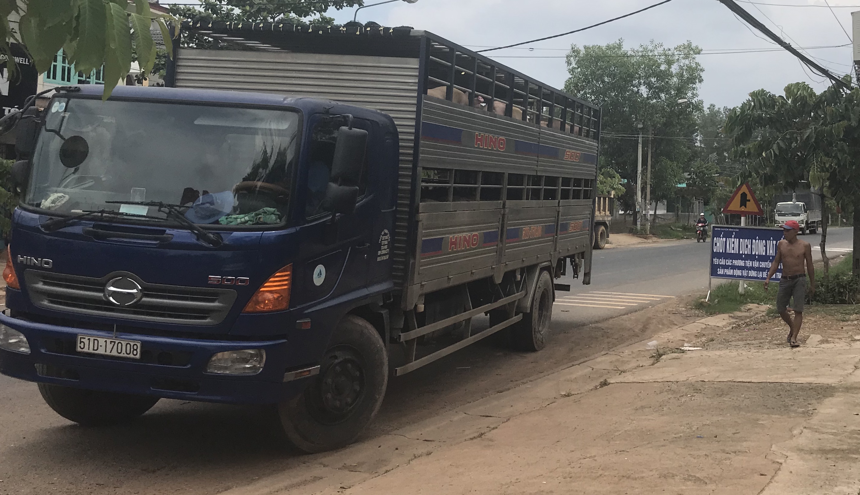 Tin nhanh - Dịch tả lợn châu Phi ở Đồng Nai: Nhiều hộ chăn nuôi nhỏ lẻ còn tư tưởng 'sống chết mặc bay' (Hình 2).