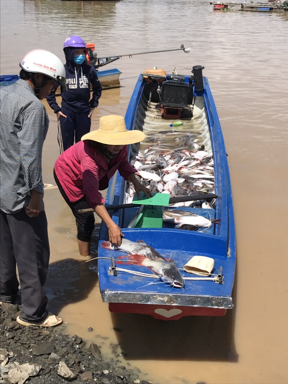 Môi trường - Cá bè La Ngà chết hàng loạt: Xác minh nguồn thải từ suối đổ ra sông (Hình 4).