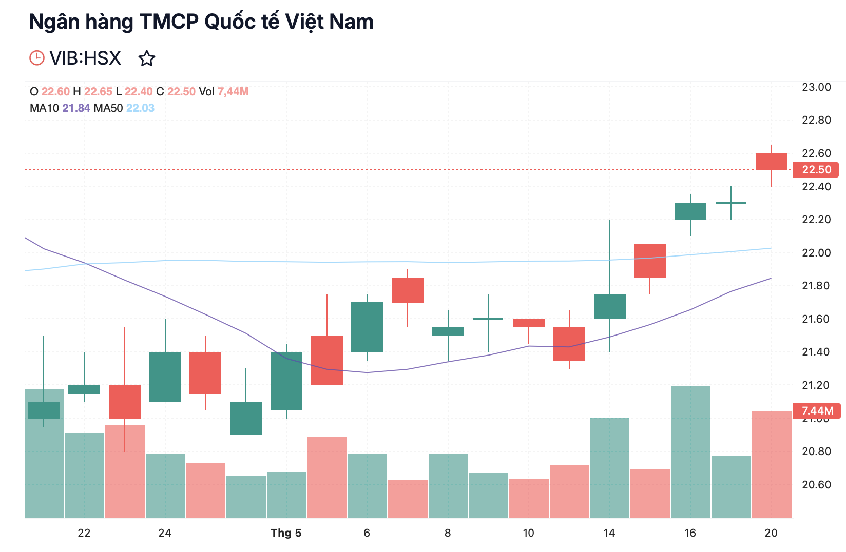 Tài chính - Ngân hàng - VIB sẽ tổ chức ĐHĐCĐ bất thường vào tháng 6/2024