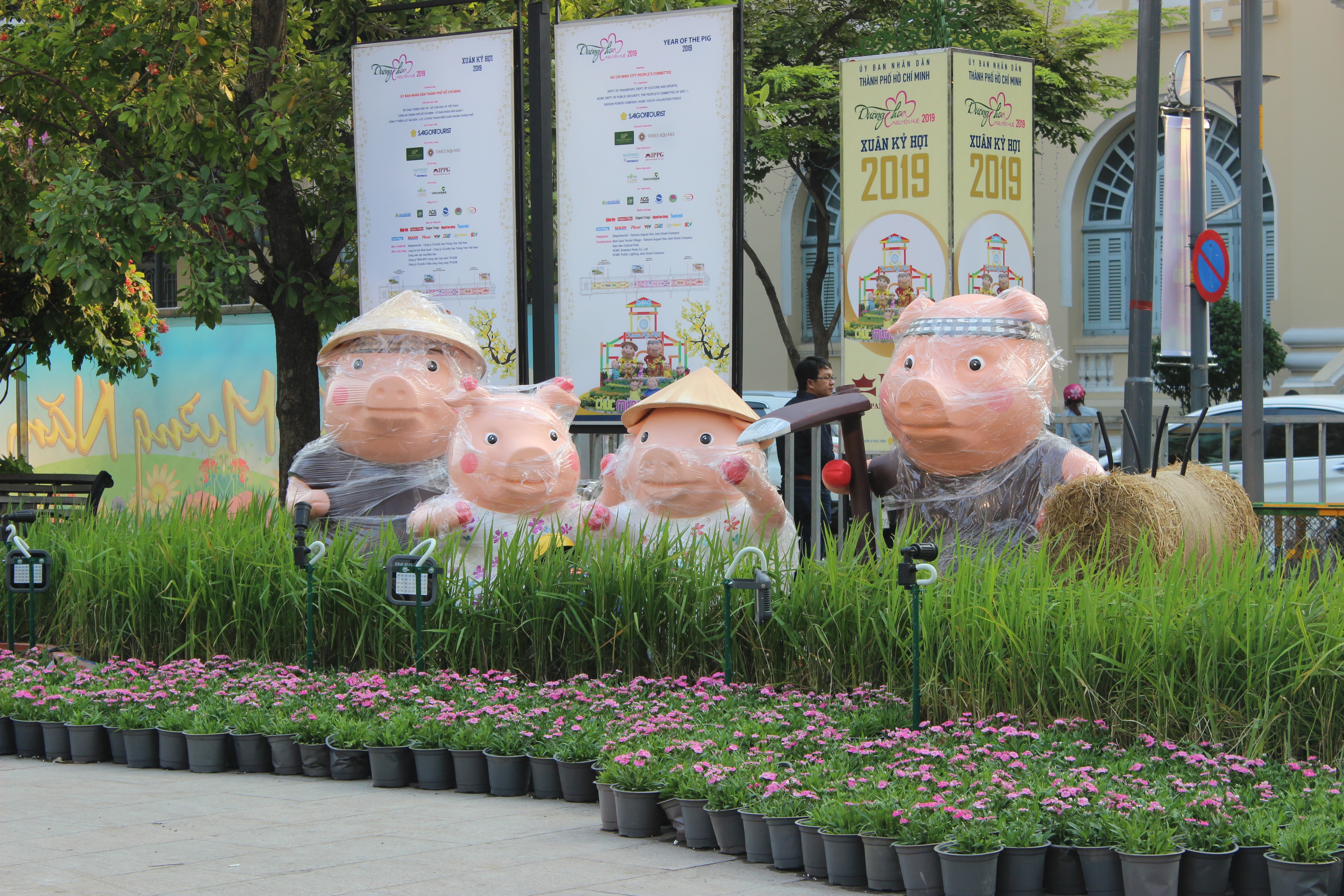 Tin nhanh - TP.HCM: Mu&ocirc;n v&agrave;n kiểu linh vật tết Kỷ Hợi 2019 (H&igrave;nh 8).