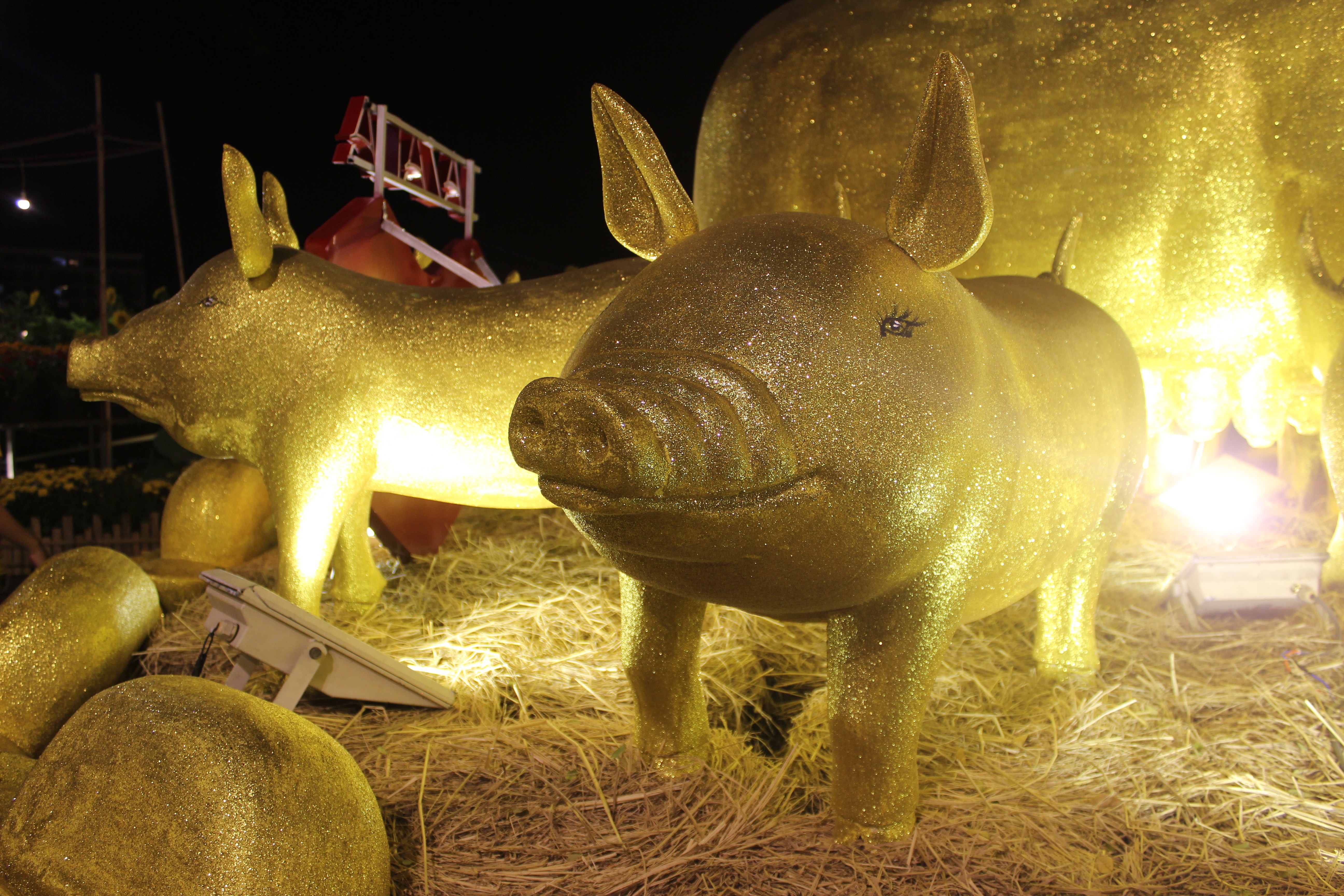 Tin nhanh - TP.HCM: Mu&ocirc;n v&agrave;n kiểu linh vật tết Kỷ Hợi 2019 (H&igrave;nh 6).