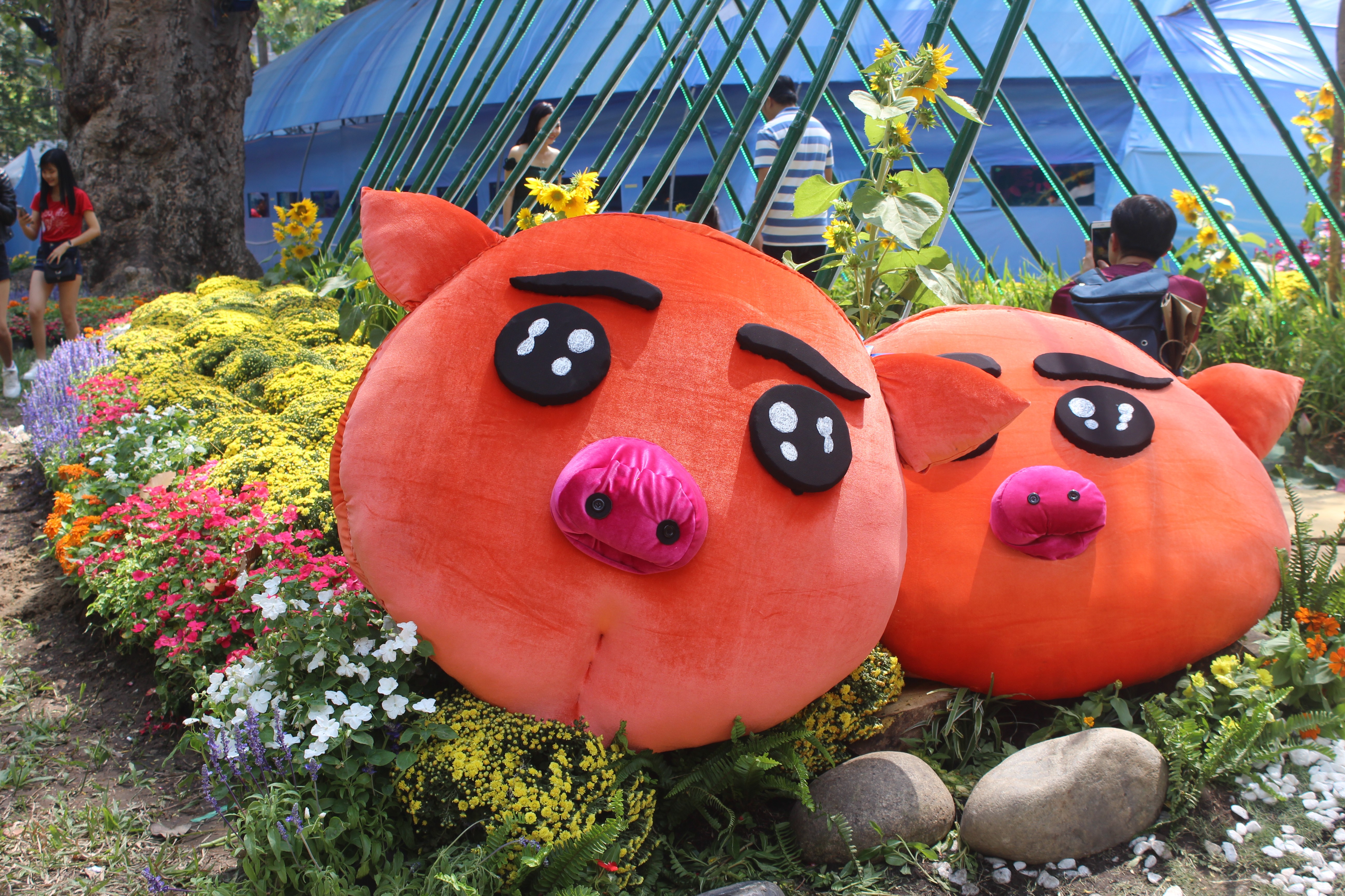 Tin nhanh - TP.HCM: Mu&ocirc;n v&agrave;n kiểu linh vật tết Kỷ Hợi 2019 (H&igrave;nh 10).