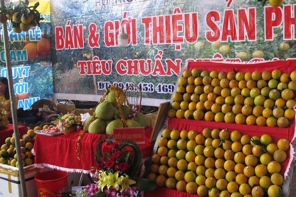 Tin nhanh - Hòa Bình: Từng bừng chào mừng lễ hội Cam Cao Phong lần thứ 5 (Hình 4).