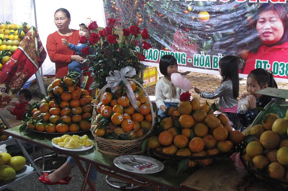 Tin nhanh - Hòa Bình: Từng bừng chào mừng lễ hội Cam Cao Phong lần thứ 5 (Hình 11).