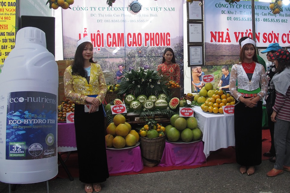 Tin nhanh - Hòa Bình: Từng bừng chào mừng lễ hội Cam Cao Phong lần thứ 5 (Hình 12).