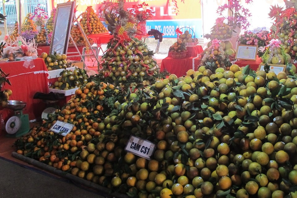 Tin nhanh - Hòa Bình: Từng bừng chào mừng lễ hội Cam Cao Phong lần thứ 5 (Hình 3).