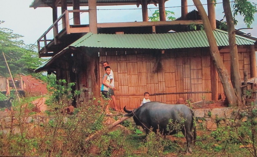 Hồ sơ điều tra - Chuyện “trâu sắt” đấu đầu trâu thật (Hình 2).