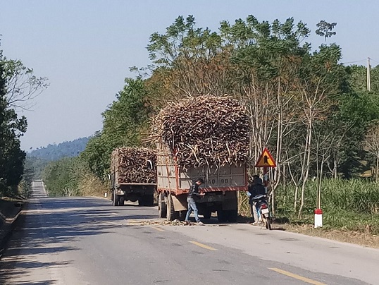 Xã hội - Xe quá tải “lộng hành” trên đường HCM, tiềm ẩn nguy cơ tai nạn cao