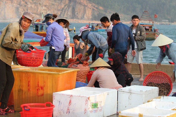 Tiêu dùng & Dư luận - Trúng đậm 'lộc trời', ngư dân Hà Tĩnh thu chục triệu mỗi ngày từ chang chang (Hình 3).