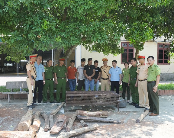 An ninh - Hình sự - Phát hiện xe khách chở động vật hoang dã và gỗ trắc trái phép tại Hà Tĩnh
