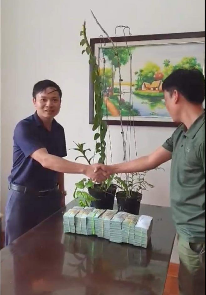 Tin nhanh - Đại gia Hà Tĩnh chi 3,5 tỷ mua 2 chậu lan: 'Cơn sốt' săn lan hiếm hay chiêu trò 'thổi giá'?