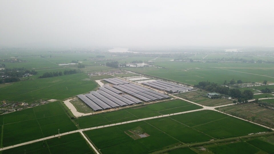 Dân sinh - Hà Tĩnh: “Hô biến” đất nông nghiệp thành dự án điện mặt trời (Hình 3).