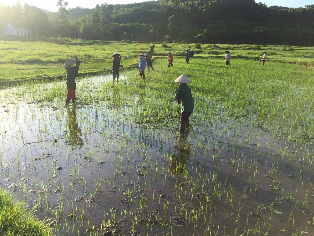 Dân sinh - Nữ trưởng thôn đảm đang cùng nhân dân chống dịch covid-19 (Hình 2).