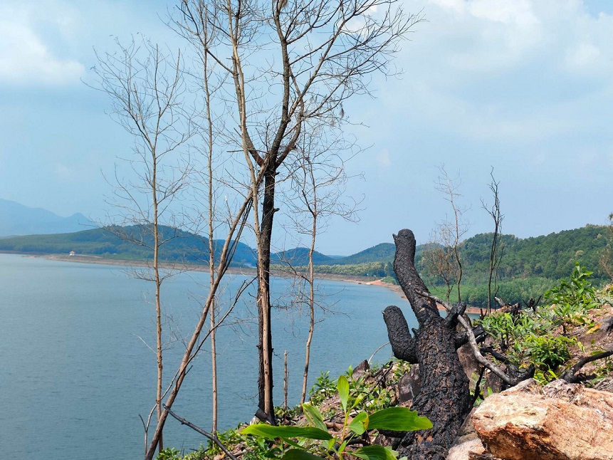 Môi trường - Rừng phòng hộ khu bảo tồn thiên nhiên Kẻ Gỗ tiếp tục bị đốn hạ (Hình 3).