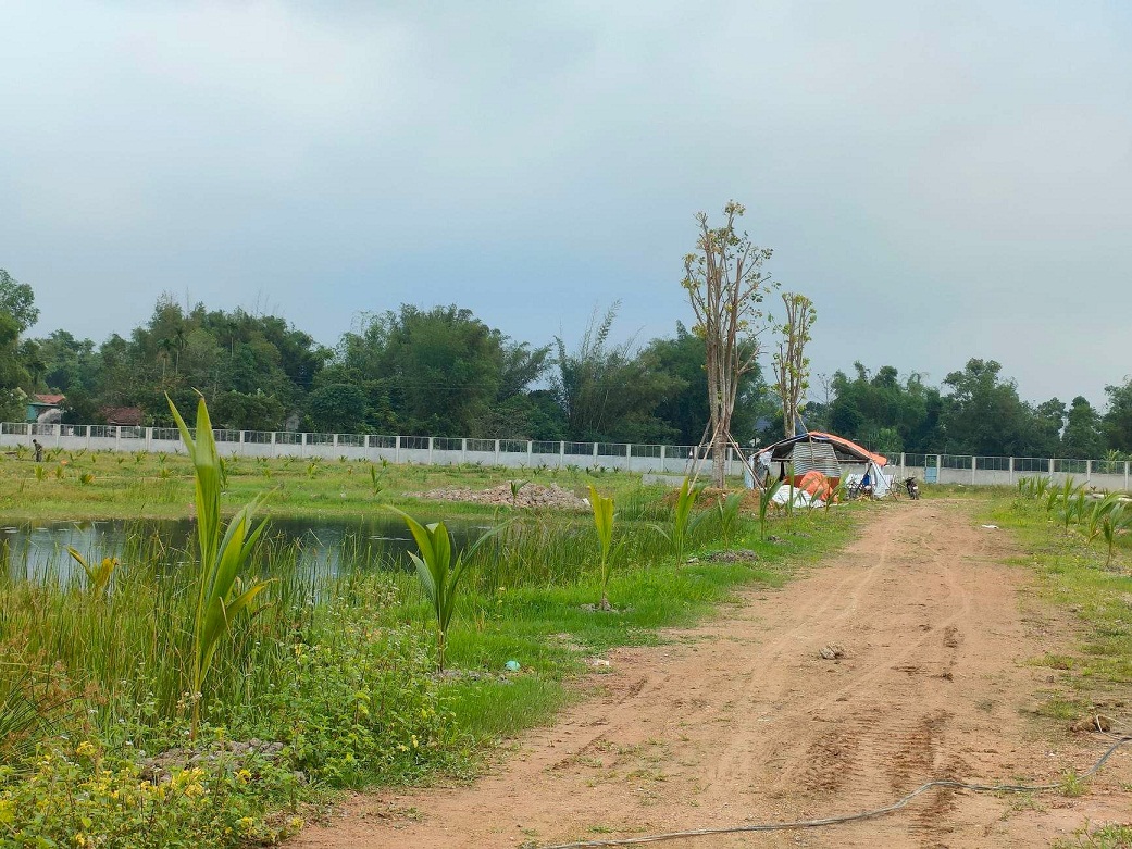 Tiếng nói công dân - Hà Tĩnh: Đại gia xây dự án trên đất lúa và chiếm dụng đất nhà nước? (Hình 3).