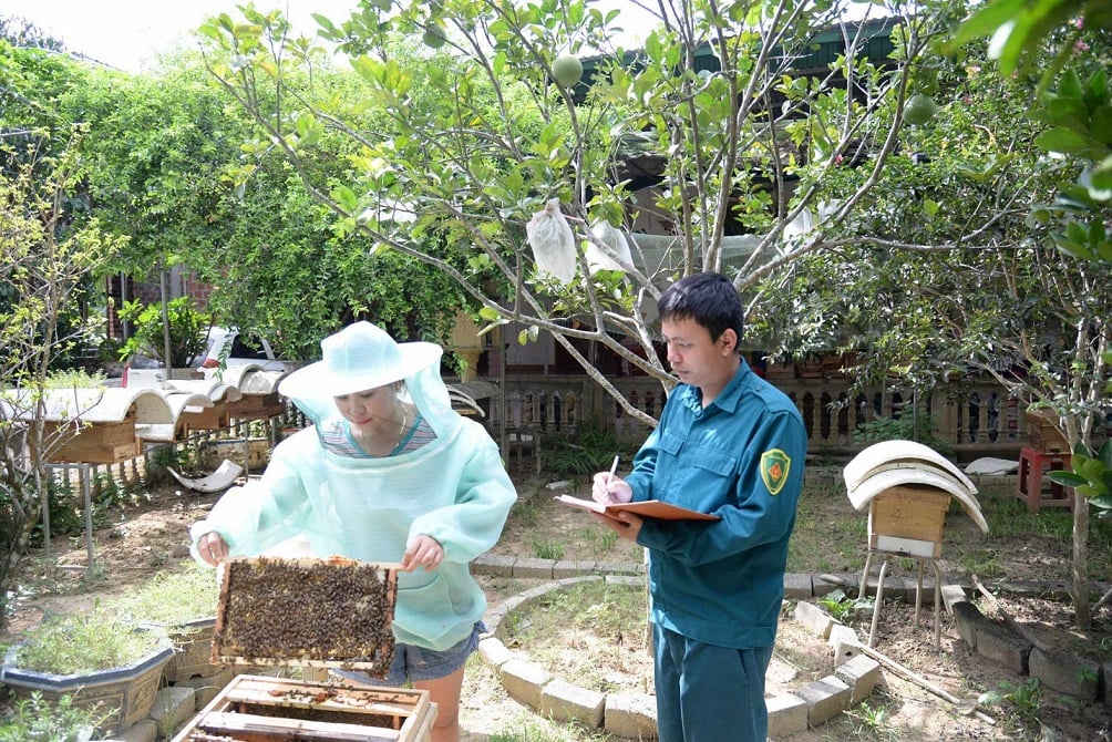 Dân sinh - Trưởng thôn 9X ở Hà Tĩnh, vị “thuyền trưởng” của phong trào NTM (Hình 3).