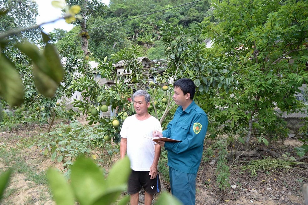 Dân sinh - Trưởng thôn 9X ở Hà Tĩnh, vị “thuyền trưởng” của phong trào NTM (Hình 4).