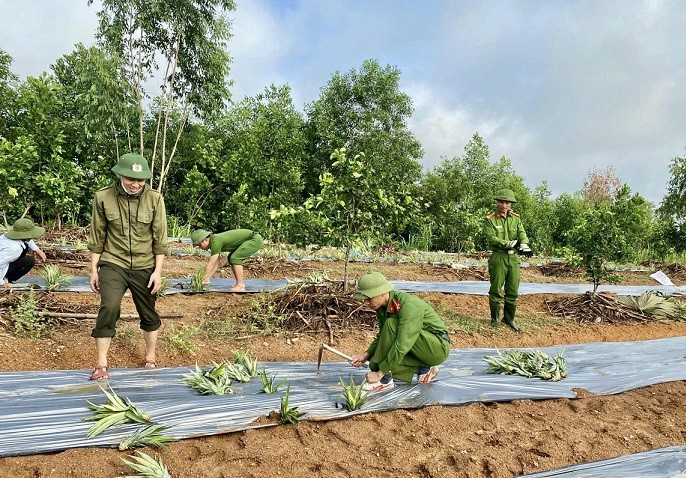 Dân sinh - Hà Tĩnh: Công an đội nắng cùng người dân trồng dứa trên đồi hoang (Hình 2).