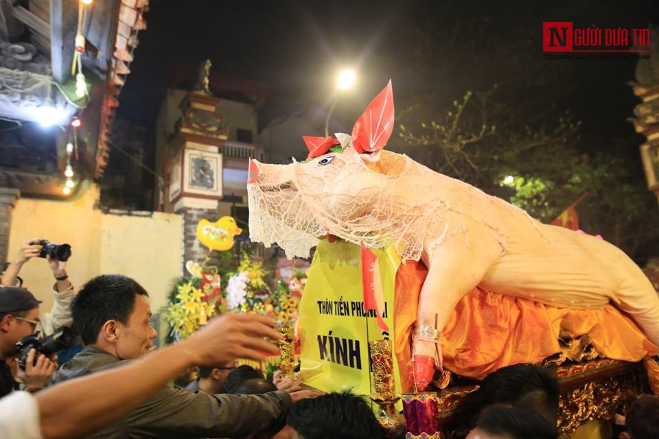 Văn hoá - Hàng nghìn người dân trắng đêm rước “ông lợn” để cầu may (Hình 5).