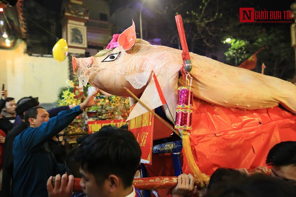 Văn hoá - Hàng nghìn người dân trắng đêm rước “ông lợn” để cầu may (Hình 6).