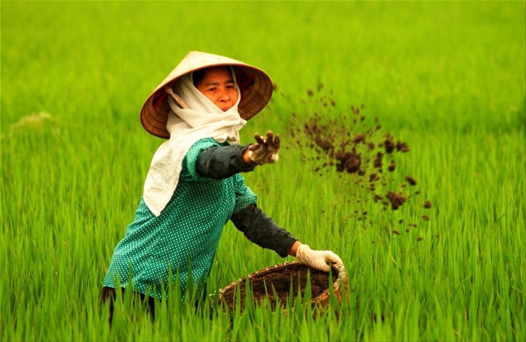 Tiêu dùng & Dư luận - “Giá phân bón tăng không phải do cung cầu”