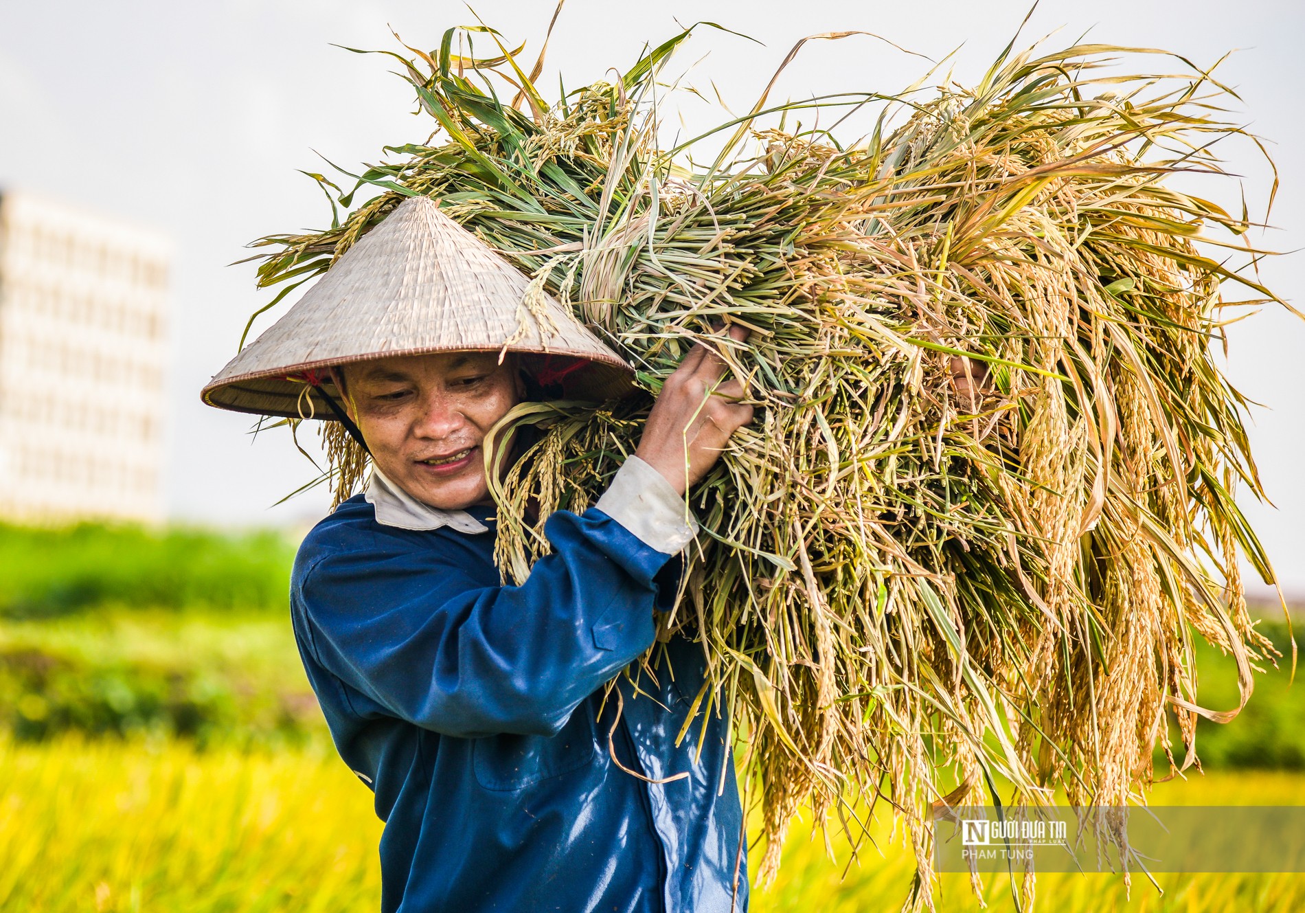 Kinh tế vĩ mô - Giá gạo tăng cao đẩy CPI tháng 8 tăng 2,96% so với cùng kỳ năm trước