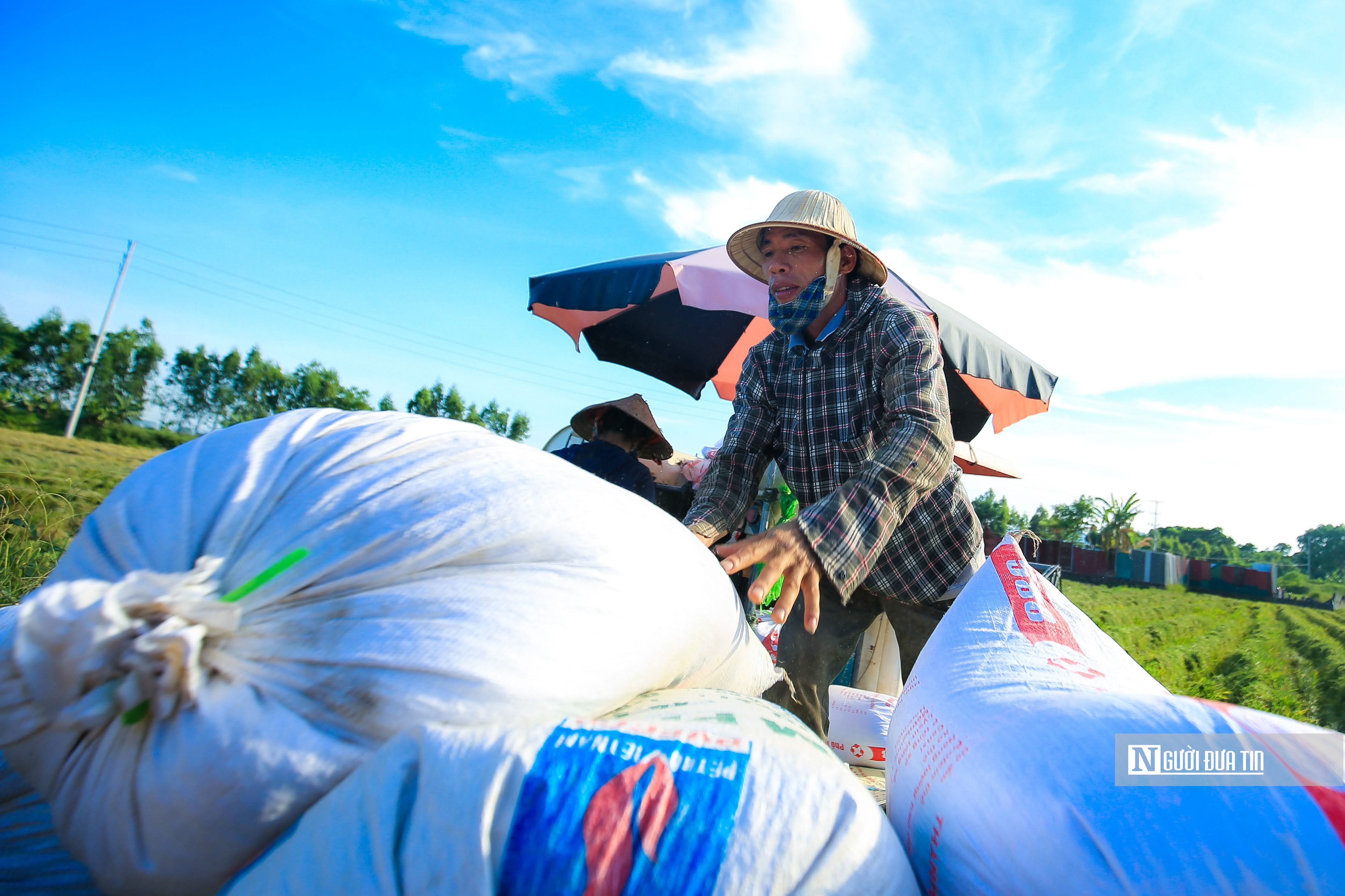 Kinh tế vĩ mô - Học phí tăng, giá gạo leo thang đẩy CPI tháng 10 tăng 0,08%