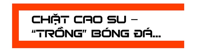 Bầu Đức