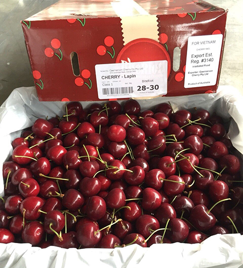 Chiến tranh thương mại Mỹ - Trung nhìn qua trái cherry